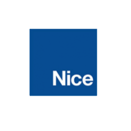 Nice